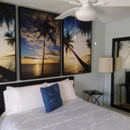 Tampa Bay Beautiful Apartment And Private Jacuzzi מראה חיצוני תמונה
