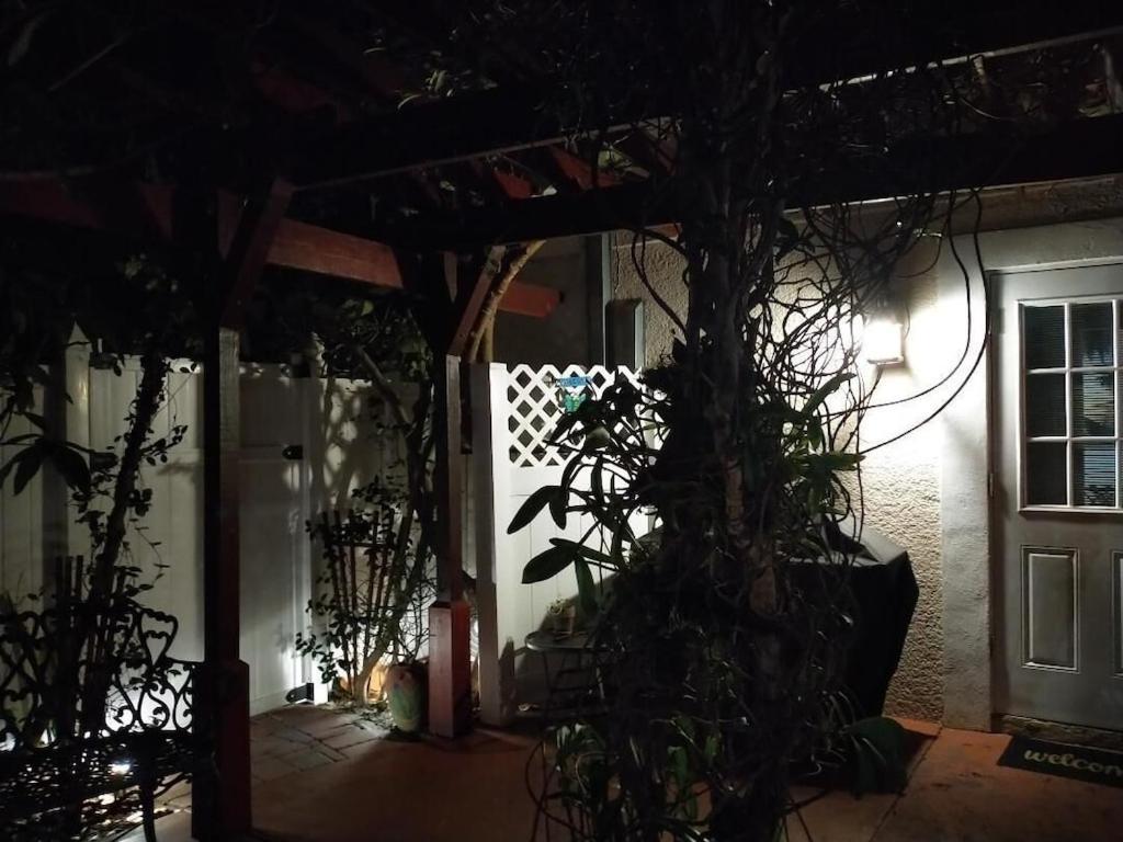 Tampa Bay Beautiful Apartment And Private Jacuzzi מראה חיצוני תמונה