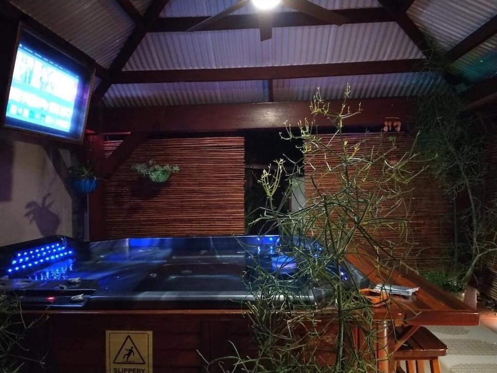 Tampa Bay Beautiful Apartment And Private Jacuzzi מראה חיצוני תמונה