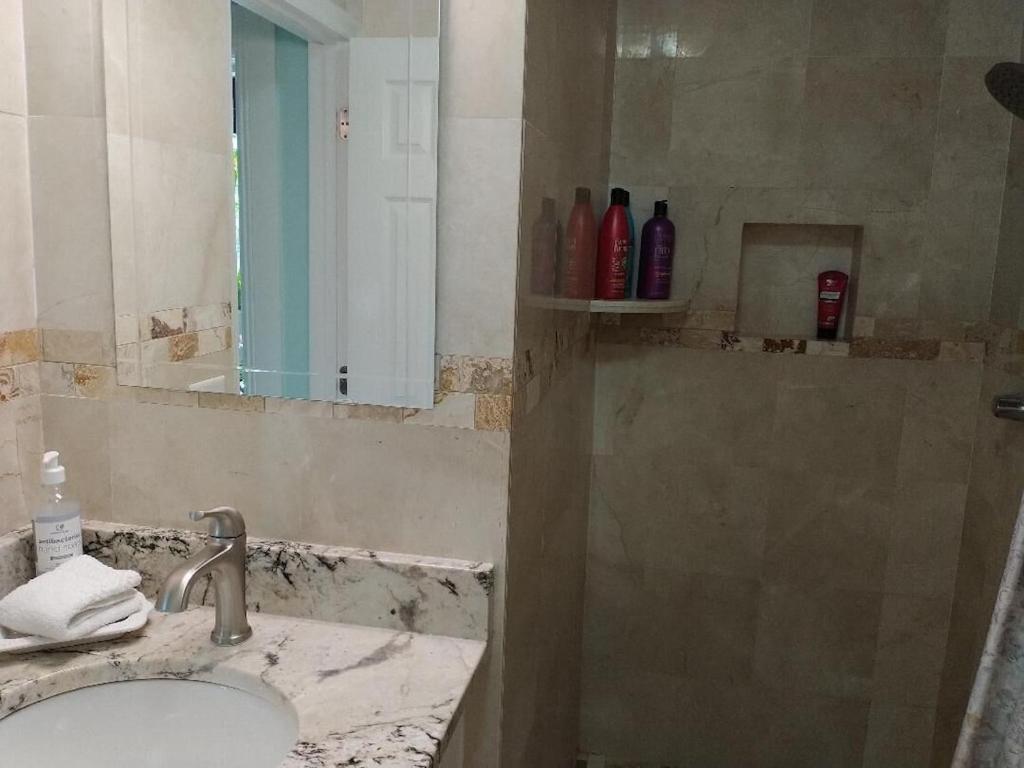 Tampa Bay Beautiful Apartment And Private Jacuzzi מראה חיצוני תמונה