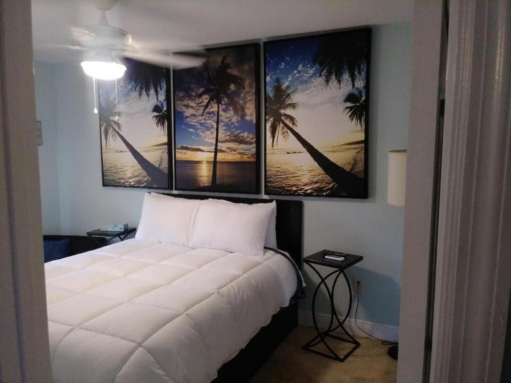 Tampa Bay Beautiful Apartment And Private Jacuzzi מראה חיצוני תמונה
